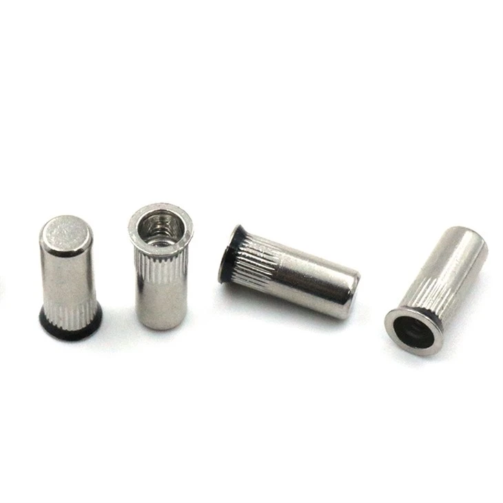 sealing rivet (3)