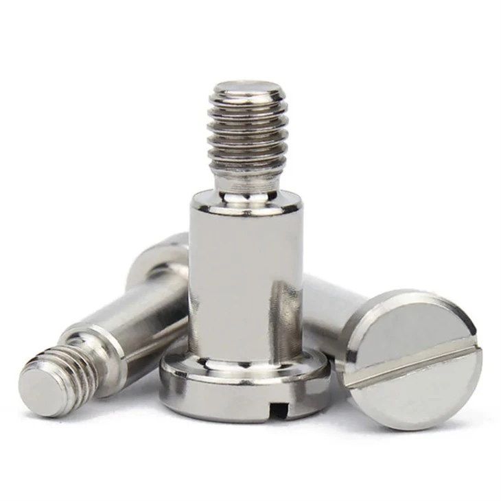 slotted screw (4)