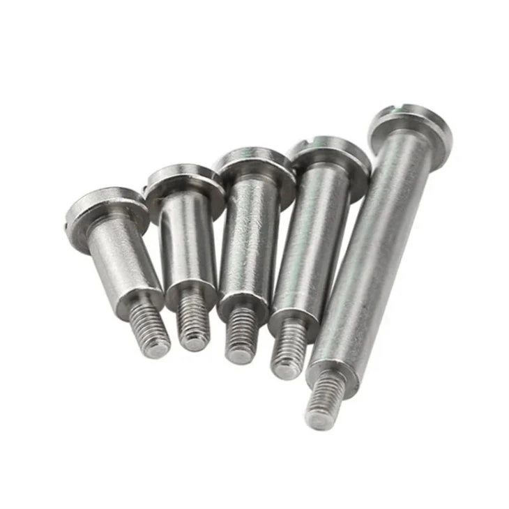 slotted screw (3)
