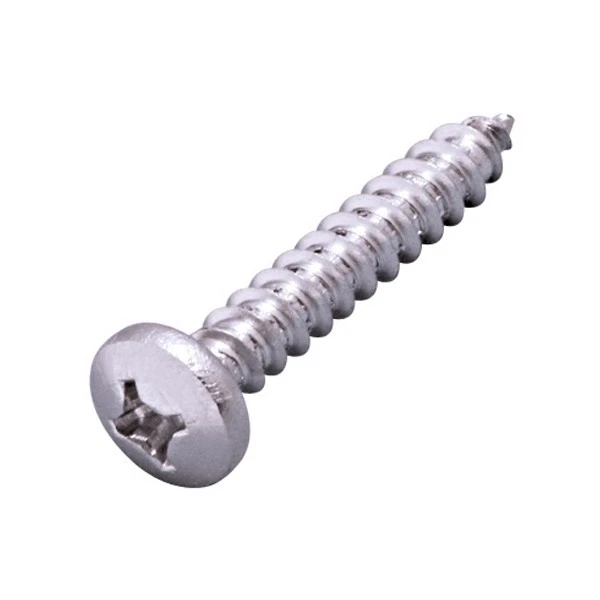 Stainless Steel Tapping Screw